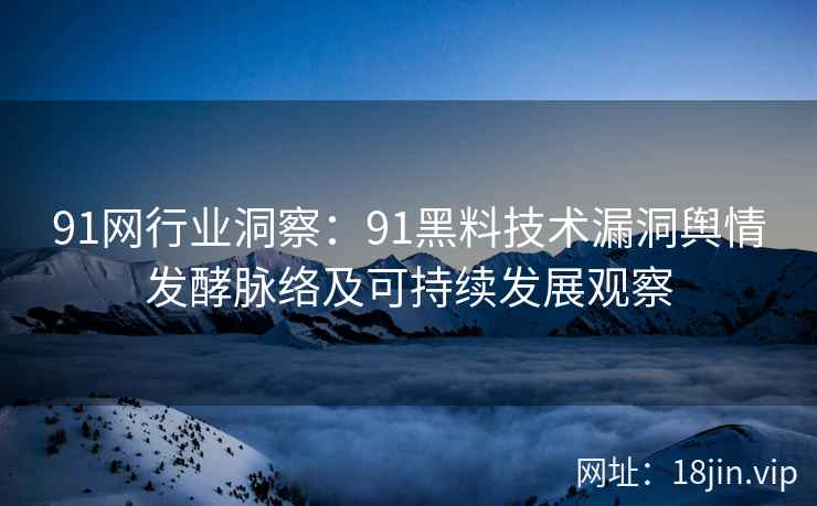 91网行业洞察：91黑料技术漏洞舆情发酵脉络及可持续发展观察