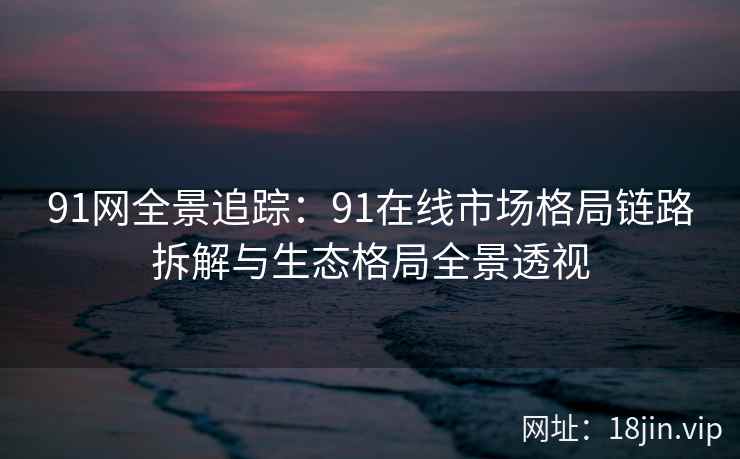 91网全景追踪：91在线市场格局链路拆解与生态格局全景透视